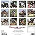 Hunter & Jumper 2018 Calendar