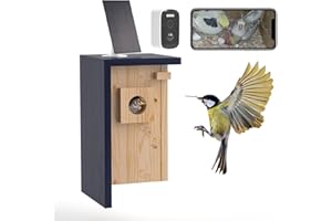 WISDOMRAINBOW Birdhouse Camera – Solar Powered 1080P/2K HD Smart Nest Box, 2.4G WiFi Live View, Night Vision, Real-Time Bird Watching & Hatching, Outdoor Garden Bird Nest, Ideal Gift for Bird Lovers