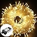 Excelvan Safe Low Voltage 8 Modes 250 LEDs 50m/164ft Dimmable Fairy String Lights for Bedroom Patio Garden Gate Yard Party Wedding Christmas Decoration, Warm White