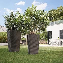 Lechuza Cubico Cottage 30 All-in-One
