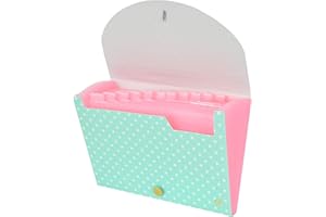 CNK File Folders Organizer with 13 Pockets Accordion Expanding Folder For Documents Receipt Document Paper Pocket Filing Products Accordian Important expandable holder files alphabetical Labels Letter