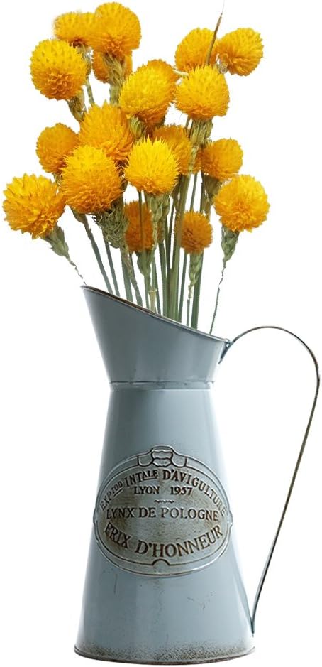 Hippicity French Style Rustic Pitcher Vase Metal Jug Flower for Home Decor