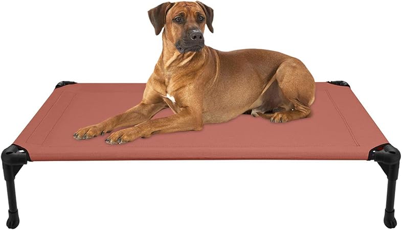 amazon coolaroo dog bed