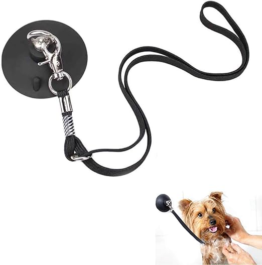 dog bathing tether