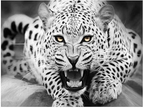 Amazon Co Jp 数字油絵 デジタル油画 ぬりえ デジタル塗り絵 描く簡単 インテリア 数字キット Diy 綺麗風景 初心者でも簡単で油絵を描く 50cmx40cm 集中力育成 達成感 子供 大人 プレゼント Toys