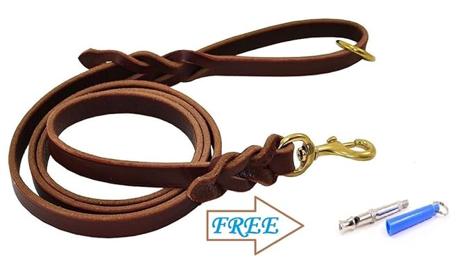 Emily Pets Dog Leather Leash with Whistle (Large, 6 Feet)