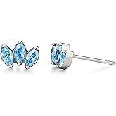 Limerencia Hypoallergenic G23 Pure Titanium Earrings | Crown Cubic Zirconia | F136 Implant Grade Piercing Studs| Suitable for Sensitive Ears Delicate Jewelry