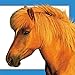 Little Ponies (Feels Real Books)