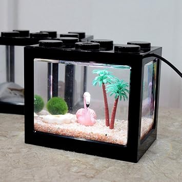 Amazon Com Diva E Song Aquarium Stand Marimo Moss Ball Kit