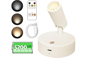 TAOMAND LED Spotlight Indoor | Ultra Large Capacity Battery | USB Rechargeable | Multi-Color | Remote Control | Easy-Operation Uplighting Indoor for Mural, Art, Plants, Hallway, Kitchen(1 Pack,Sliver)