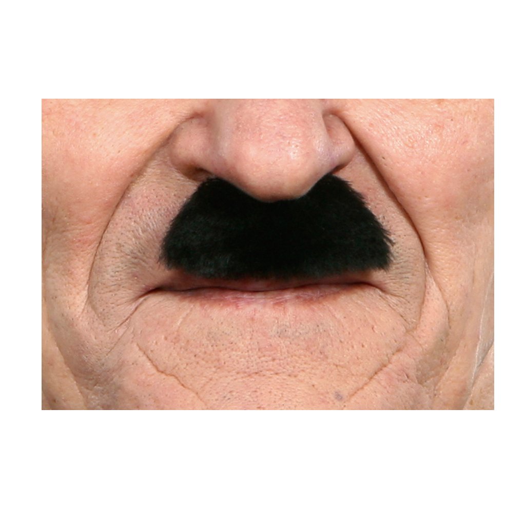 Viving Costumes 202801 Moustache