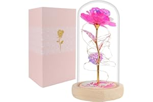 Beferr Valentines Day Gifts for Her Women Gifts Galaxy Rose Glass Flower Gift in Glass Dome Valentines Roses Ideas Birthday Gifts for Mom Wife Sister Girlfriend Pink
