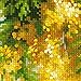 RIOLIS 1615 - Mimosa - Counted Cross Stitch Kit 7