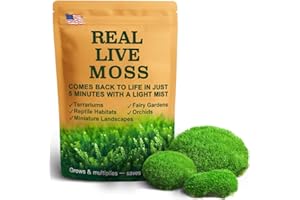 LUCKY PLANT Fresh Live Moss Variety Pack - Ideal for DIY Terrariums, Miniature Bonsai, Potted Plants, Reptiles, Succulents (A