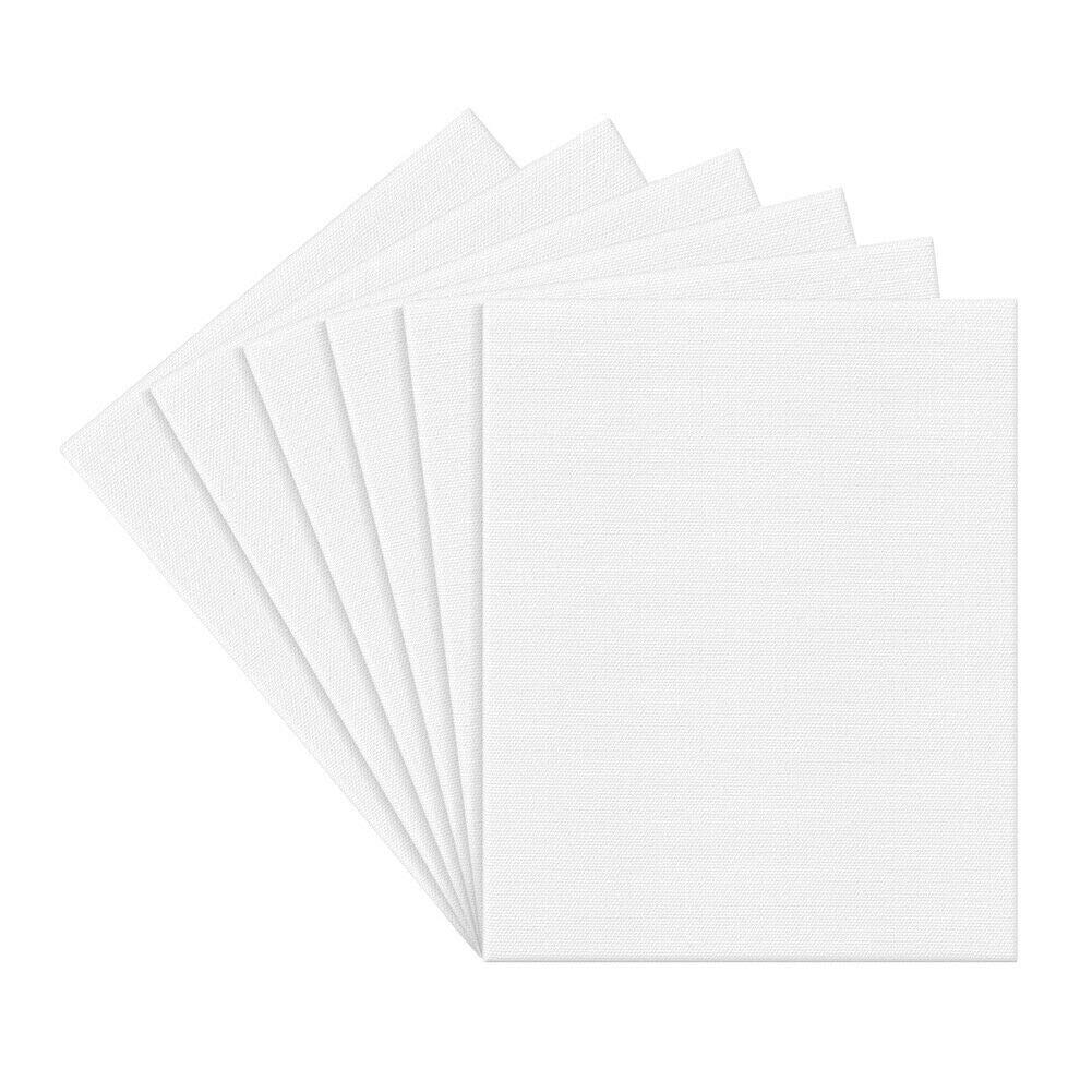 Chiloskit Blank Canvas for Painting Artist Painting Canvas Boards, Basics Acrylic Paint 6 Pack (20cm x 25cm)