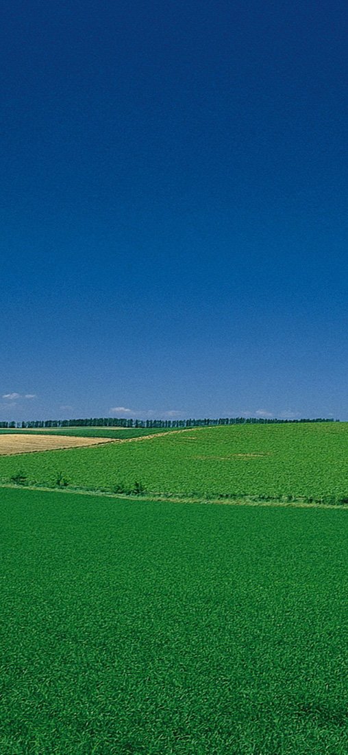 PeelitStickit, Beautiful Nature Wall Murals, ID-0883, vinyl