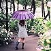 Plemo Automatic Umbrellas, Windproof Purple Daisy Design Compact Folding Umbrellas with Anti-Slip Rubberized Grip, for Business and Travels or Summer Gifts