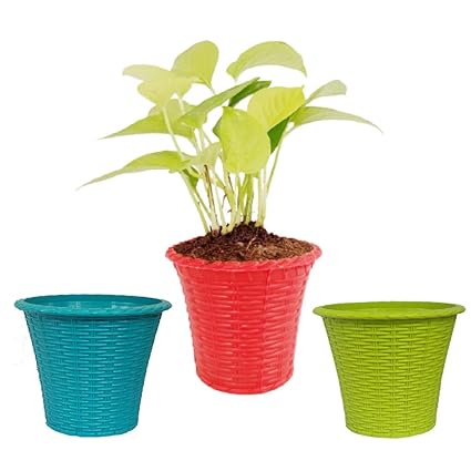 Doberyl Set of 3 Colorful Flower Pots; 100% Virgin 5 Inches Plastic Shining Plant Pots | Plant Container | Nursery Planter for Indoor & Outdoor Plants