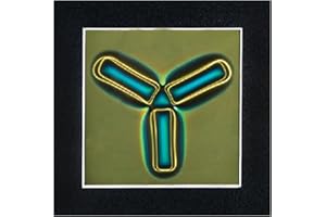 VCOMEFY 4 x 4 Inch Magnetic Field Viewing Film, Magnetic Field Viewer, Magnetic Flux Display, Magnet Pattern Detector, Scientific Project Teaching, Automatic and Reusable Recovery