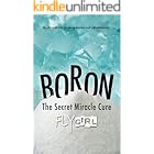 Boron - The secrect miracle cure: The ultimate cure for many diseases, inflammatitons, ...