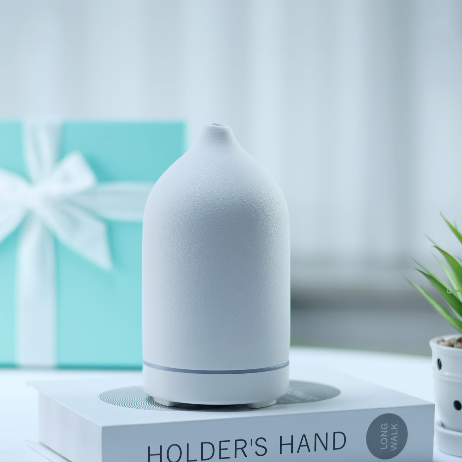 Essential Oil Diffuser