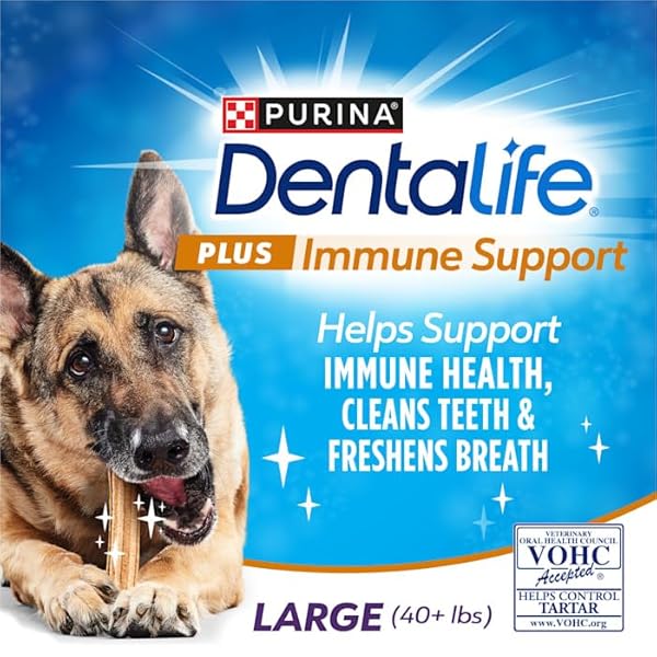 DENTALIFE PLUS IMMUNE SUPPORT CHICKEN APPLE AND BLUEBERRY FLAVOR LARGE DOG DENTAL CHEWS 22.6 OZ. COUNT OF 19
