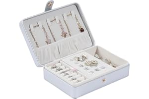 Tian Ye Zhou Portable Jewelry Box, 2 Layer Small Travel Jewelry Box for Women and Girls, Mini Leather Jewelry Organizer for Necklaces, Bracelet, Earrings and Rings Gift for Her (silver)
