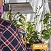 Apollo Horticulture 60”x60”x80” Mylar Hydroponic Grow Tent for Indoor Plant Growing