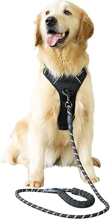 extra large dog vest