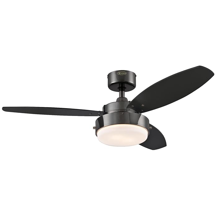 The 9 Best Hamilton Beach Ceiling Fan Black Life Sunny
