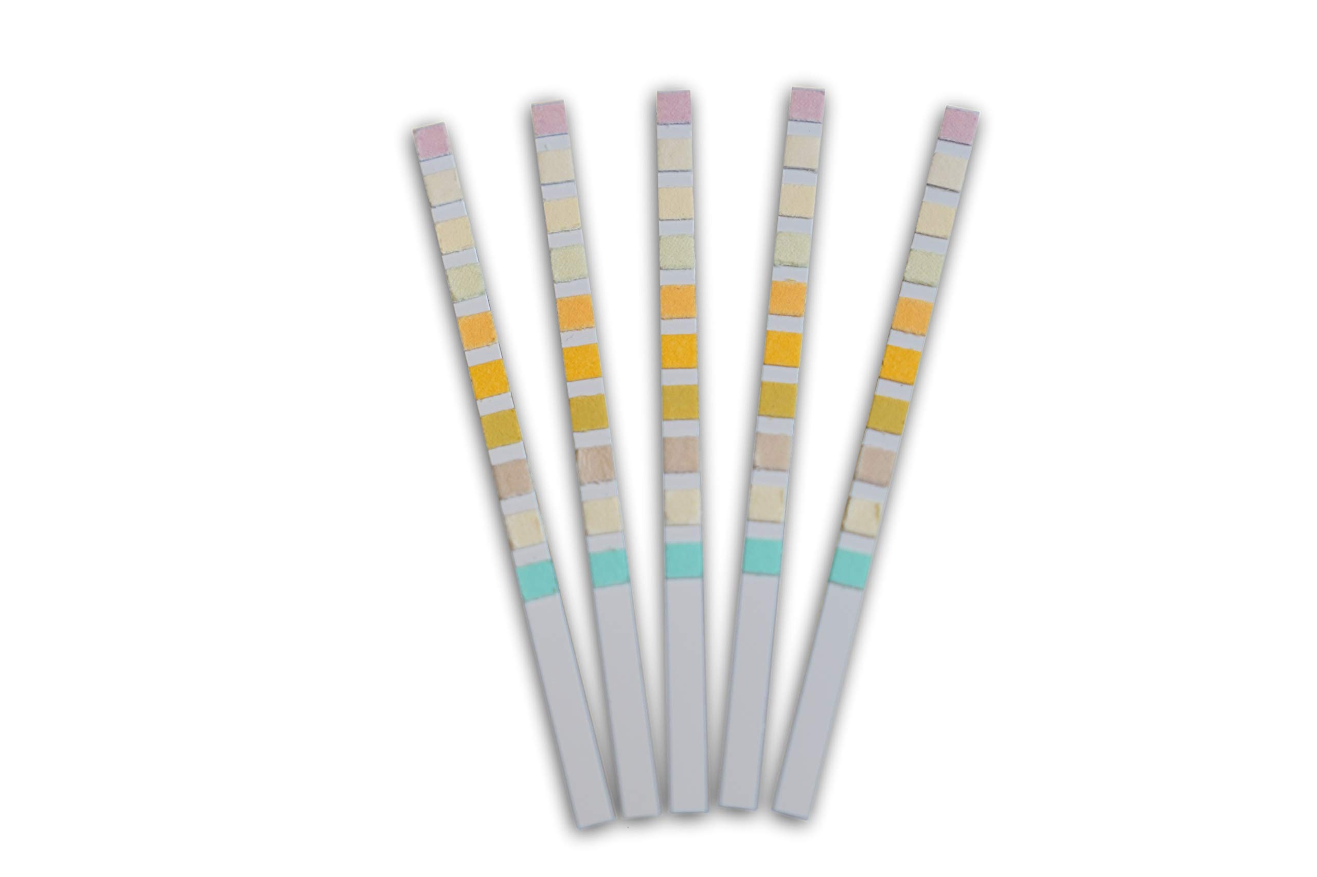 LABOQUICK 10 Parameter Urinalysis Multisticks Urine Strip Test Stick
