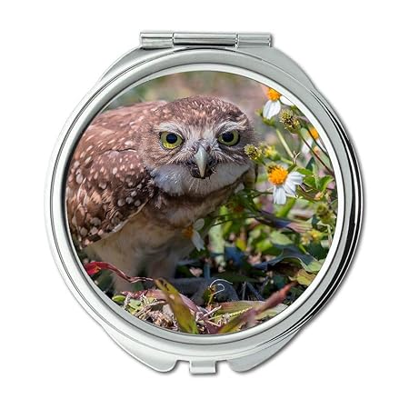 Yanteng Spiegel, Schminkspiegel, Eule Brille was suchen Sie, Taschenspiegel, tragbarer Spiegel