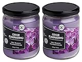 Lilac Blossom Two Pack Odor Eliminating Highly