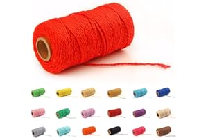 EQARP Macrame Cotton Cord 2mm 109 Yard Cotton Rope Colored Craft Cord for DIY Crafts Plant Hangers (Red)