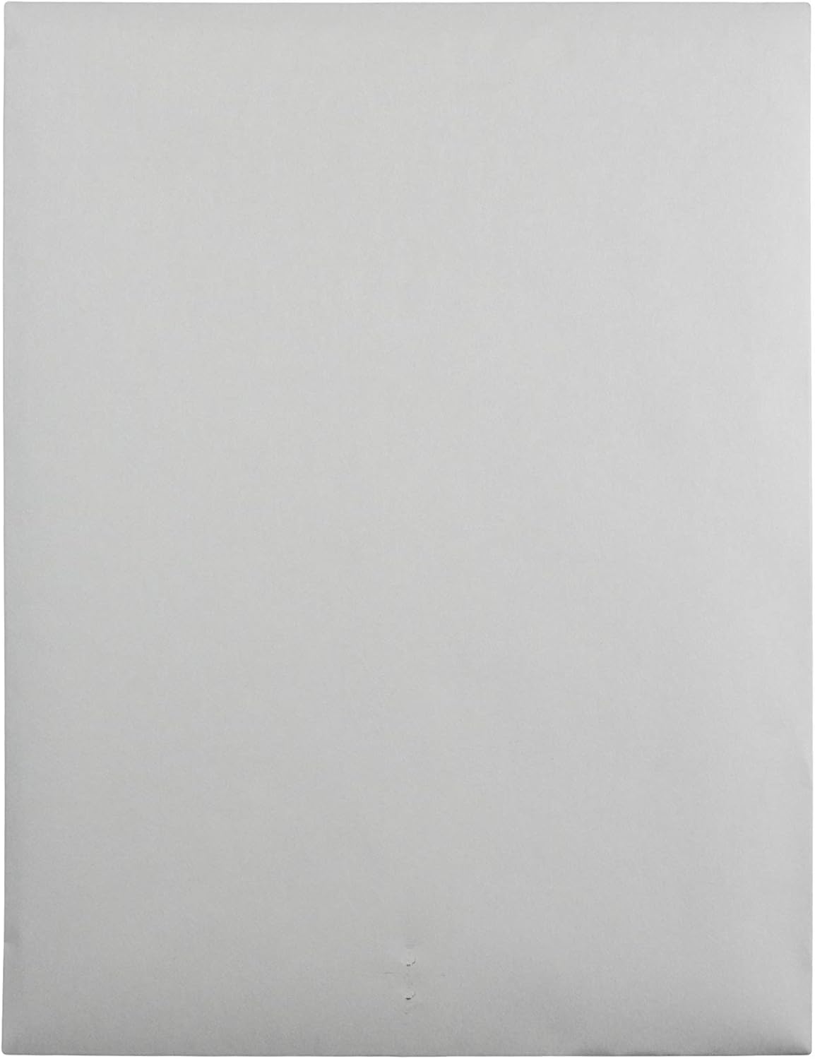 Quality Park, Clasp Envelopes, Gummed, White Wove, 9x12, 100 per Box (38390) : Office Products