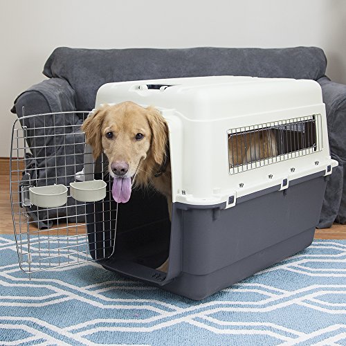 SportPet Designs Plastic Kennels Rolling Plastic Airline Approved Wire