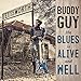 The Blues Is Alive And Well primary