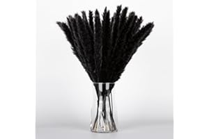 Black Pampas Grass Bouquet 30PCS XMFAYUAN,Reed Grass,Dried Flowers,Colorful Pampas Grass Dried Plant for Home Decor and Gifting
