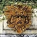 Design Toscano Oak King Greenman Wall Decor, woodtone 12.00