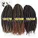 3Pcs Hot Sale 18'' 100g Afro Kinky Curly Twist Hair Crochet Braids Marley Braid Hair Extension Senegalese Twist Crochet Braiding Hair (1B/30#)