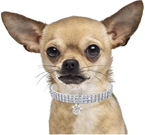 dog bling necklaces