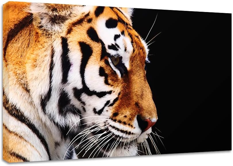 CLEARANCE SALE Tiger wall art 80x48cm canvas print Amazon.co.uk