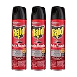 Raid Ant and Roach Kills on Contact No Lingering
