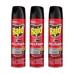 Raid Ant and Roach Kills on Contact No Lingering