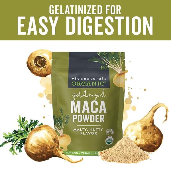 VIVA NATURALS ORGANIC MACA POWDER, GELATINIZED, 8 OZ – VEGAN, USDA ORGANIC, GLUTEN-FREE, NON-GMO PERUVIAN SUPERFOOD IN RESEALABLE BAG