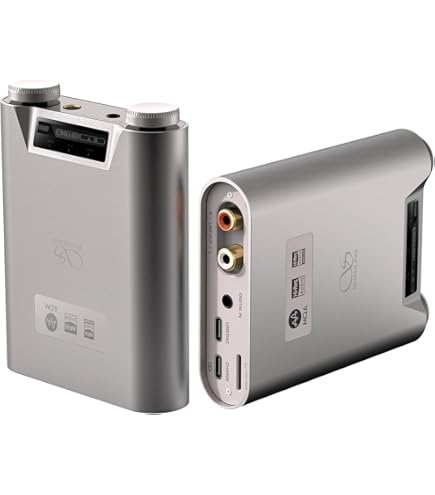 Amazon.com: SHANLING H5 Leather Case, H5 Portable Music