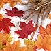 Hotop 300 Pieces Loose Faux Autumn Leaves Artificial Maple Leaves Fake Fall Dried Leaves Decor for Art Scrapbooking Crafts Wedding Decorations Thanksgiving Day Halloween Party Supplies