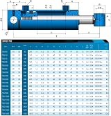 Flowfit Hydraulic Double Acting Ram Cylinder 32mm Bore 20mm Rod 200mm Stroke view 2