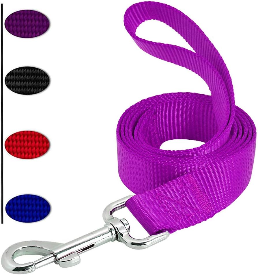 easy hook dog leash