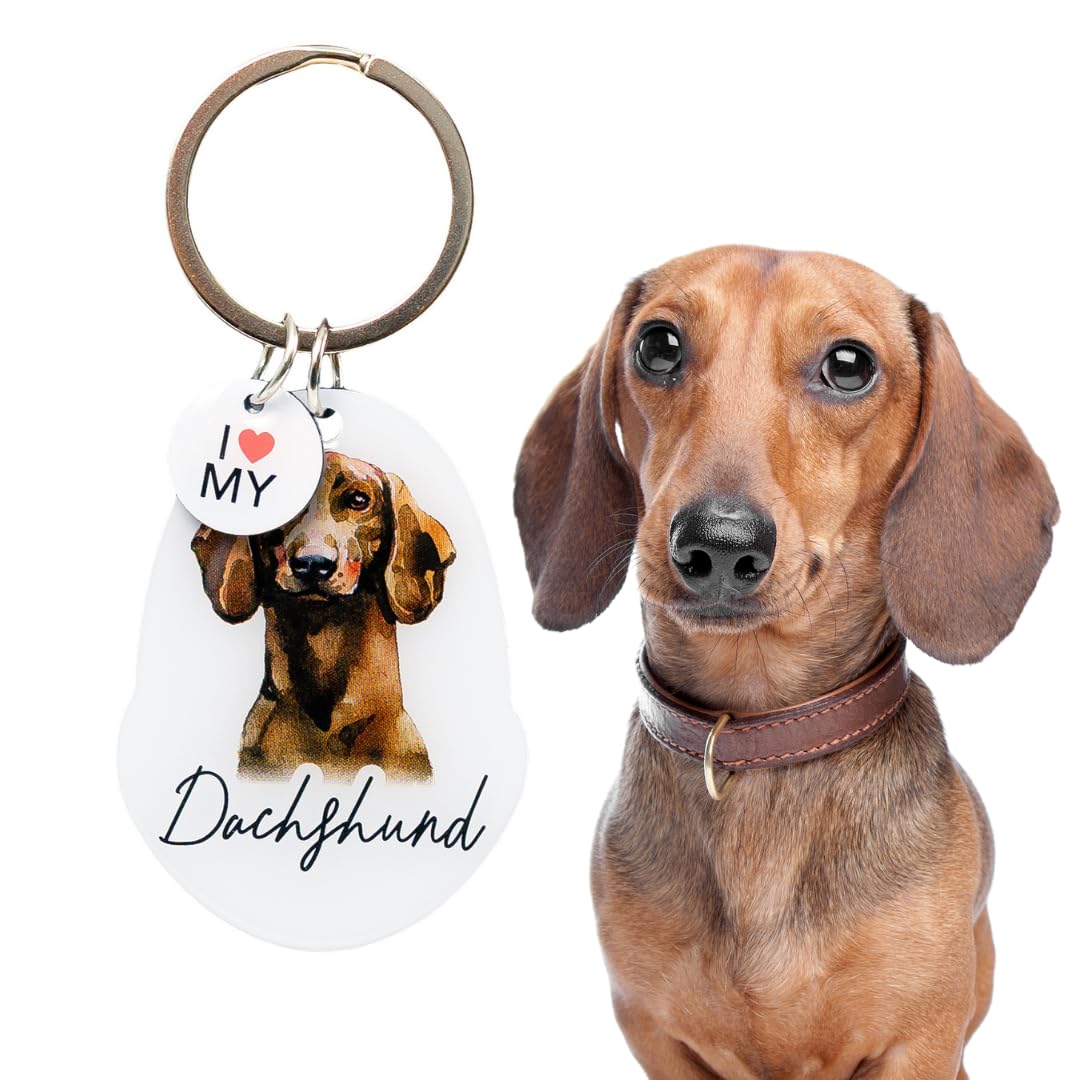 Splosh Personalised Dachshund Keyring. Dog Key Chain Gifts. Accessories, Key Tags